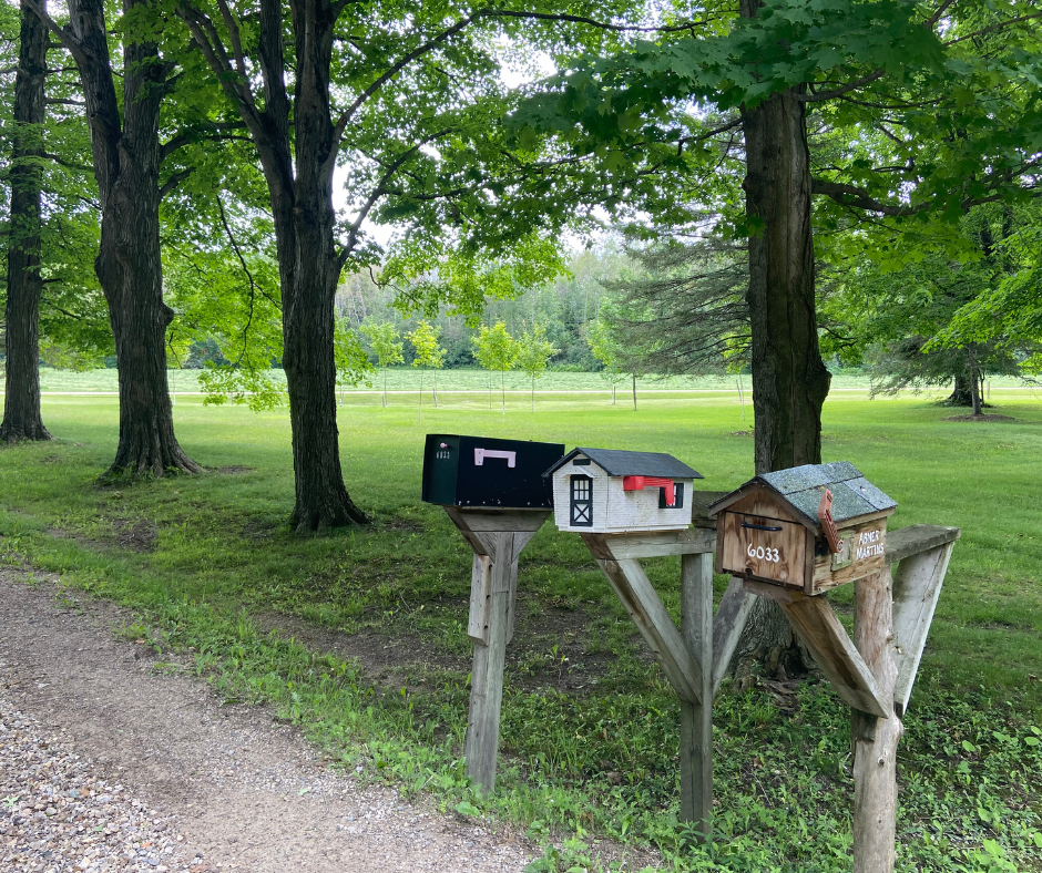 an image of three mailboxes along the edge of a dirt road