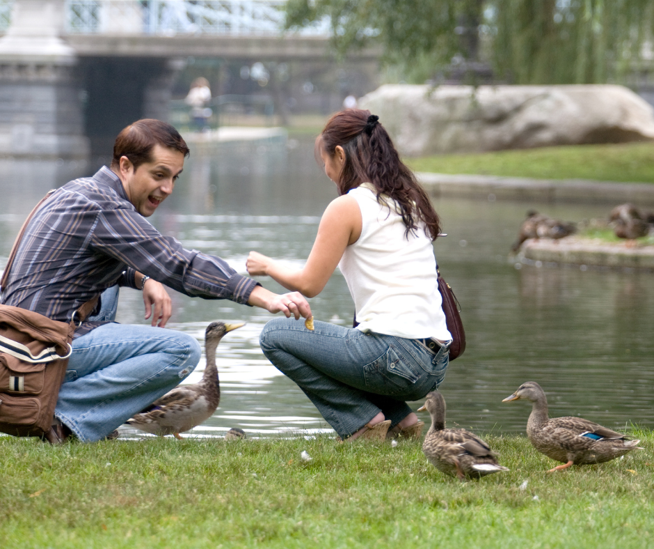 a man and a women crouched next to a pond with many ducks around. the ducks come close to the people to be fed.